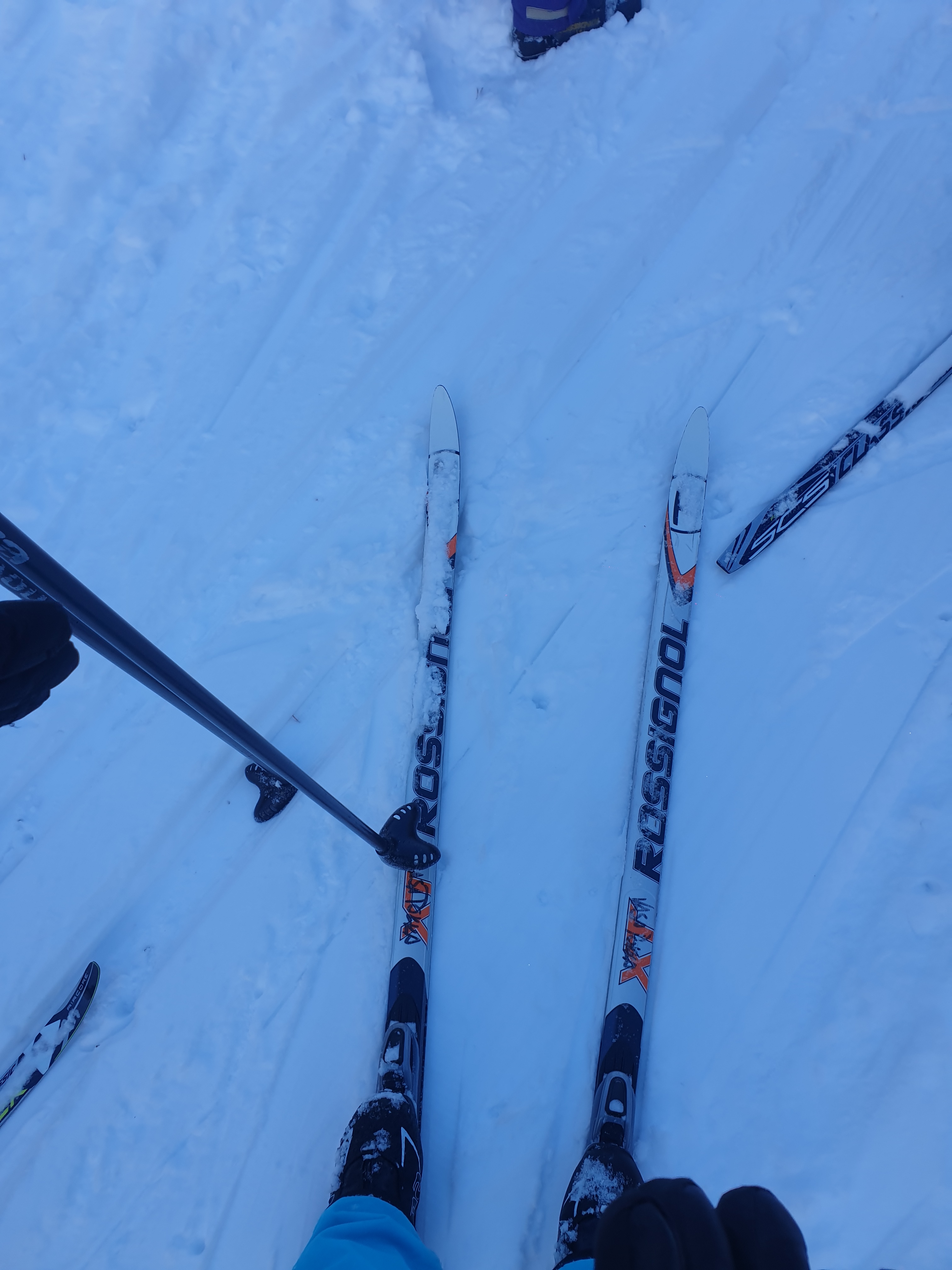 Langlaufen? Kann ich. (Foto: vk)