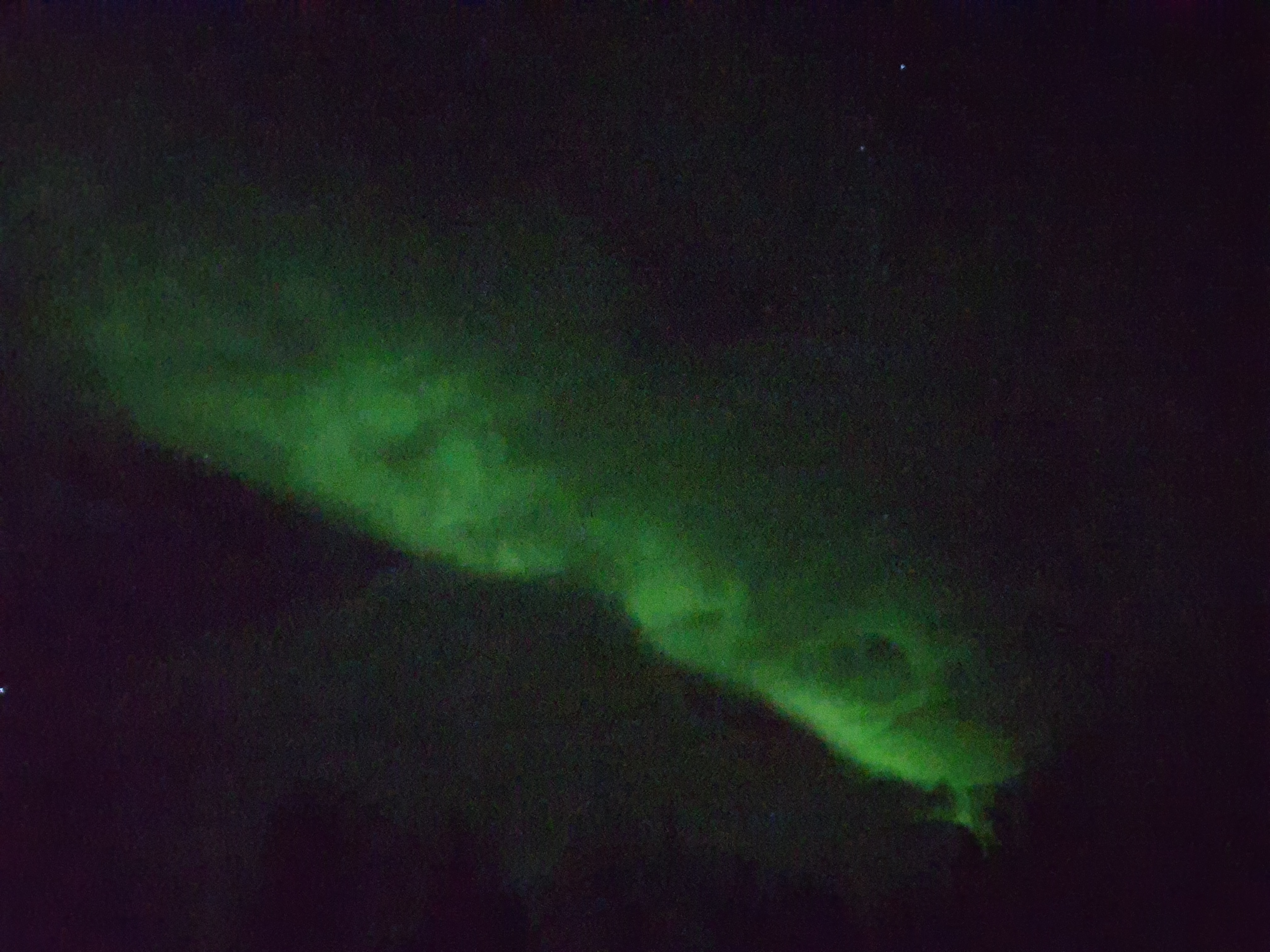 Die Polarlichter am letzten Abend. (Foto: vk)