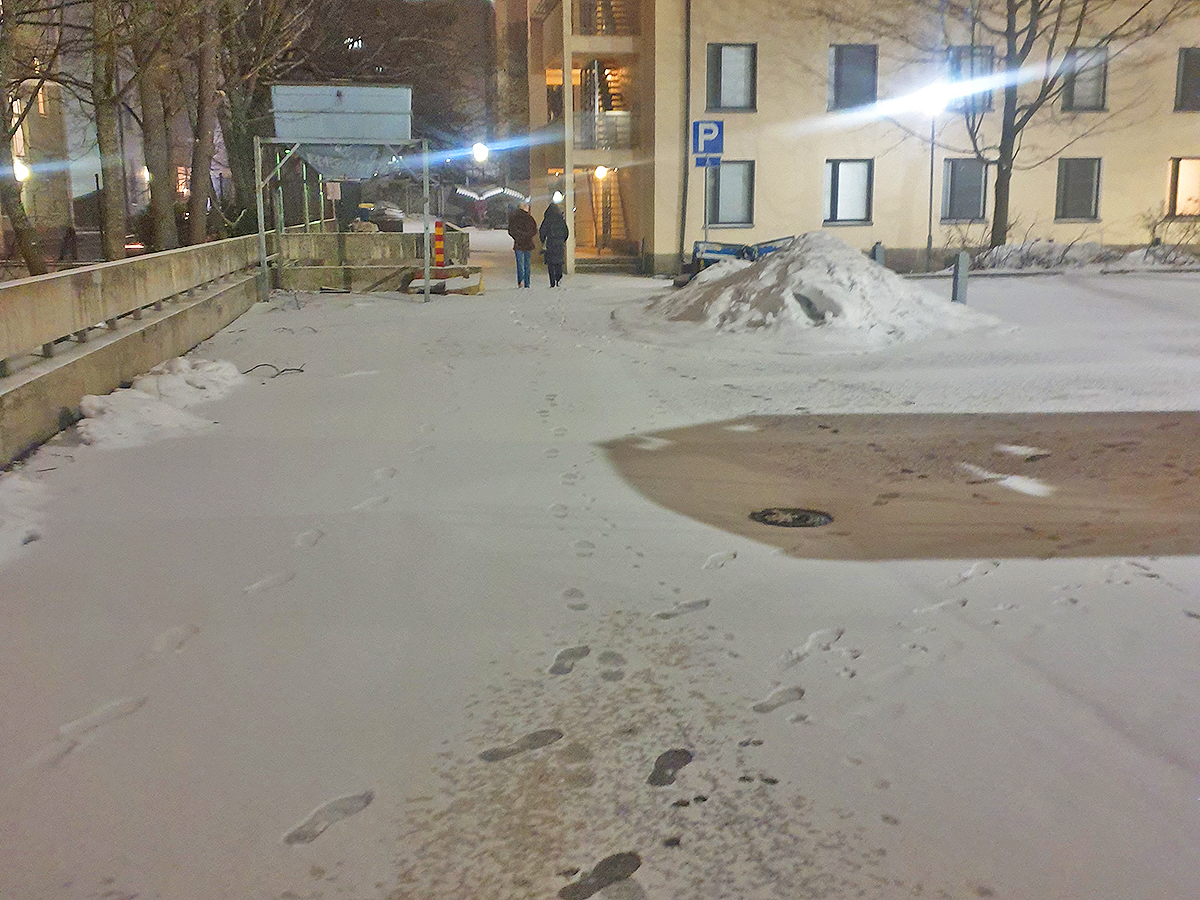 Ein Blick in den Hinterhof am 27. März (Foto: vk)