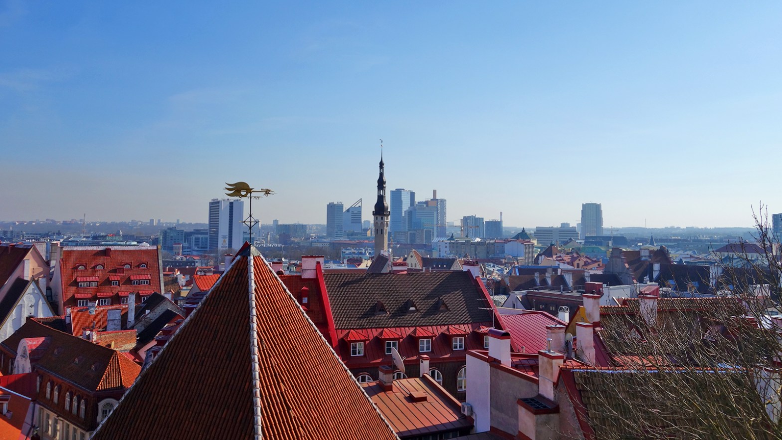 Ein Blick über die Stadt Talinn. (Foto: vk)