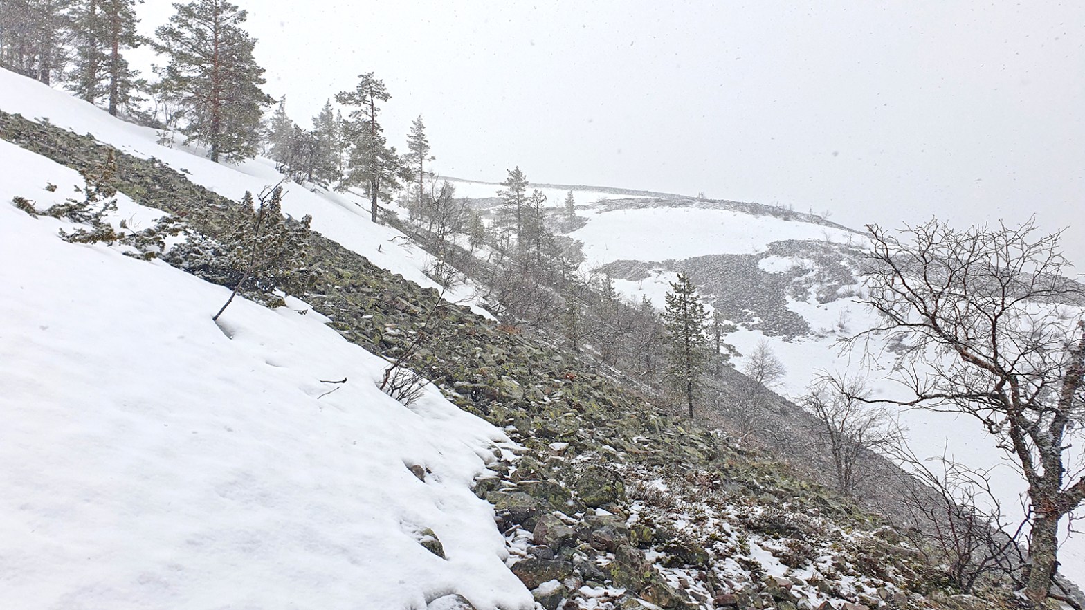 Im Schneesturm in Richtung Gipfel bei Kittilä. (Foto: vk)