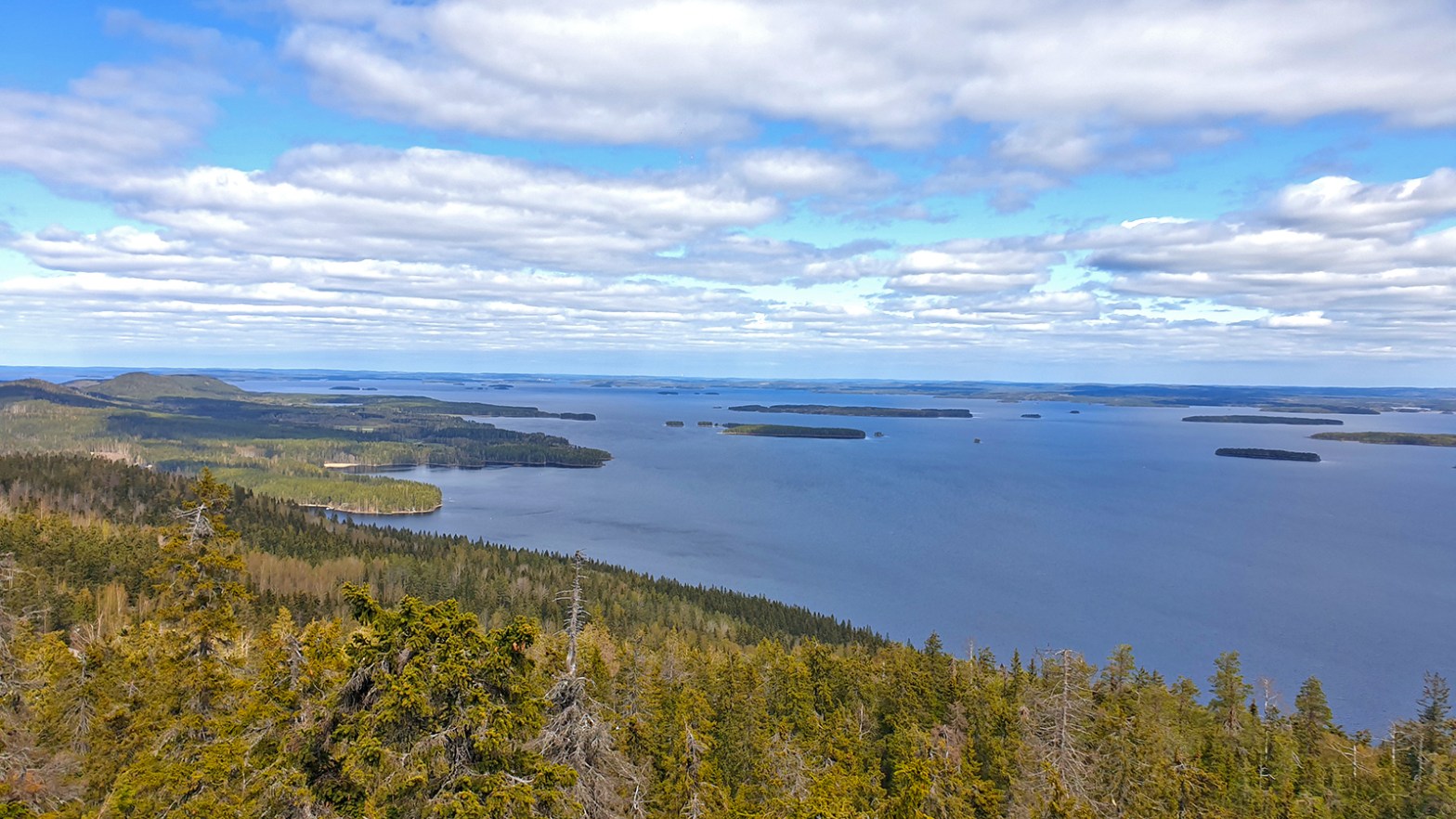 Blick auf den Tarhalampi-See von den Felsen im Koli Nationalpark. (Foto: vk)