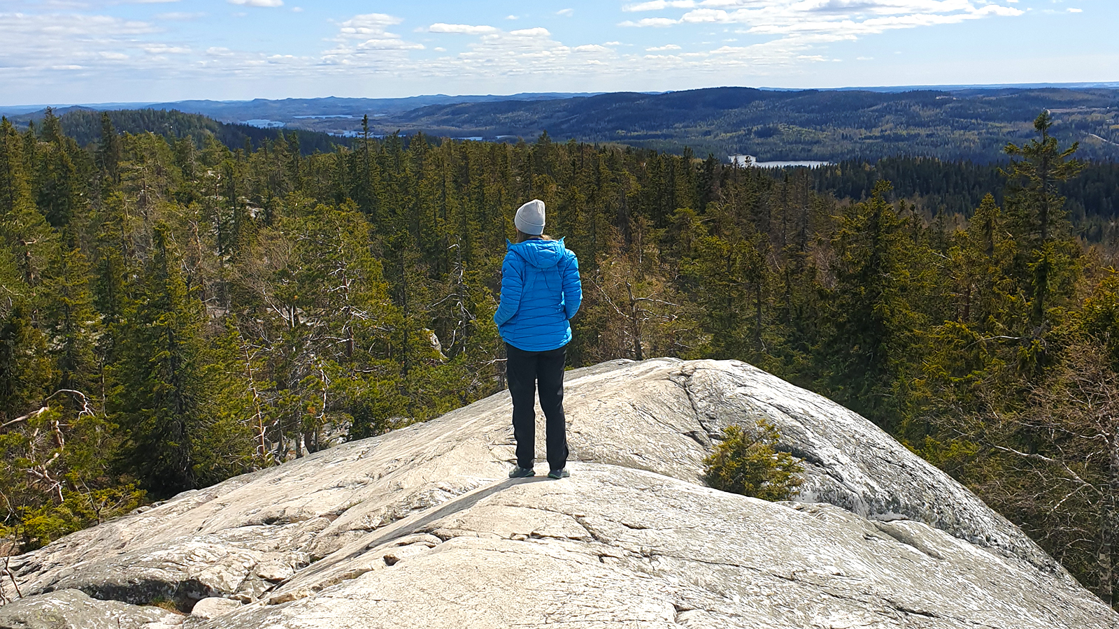 Die Aussicht von Akka Koli im Koli Nationalpark. (Foto: vk)