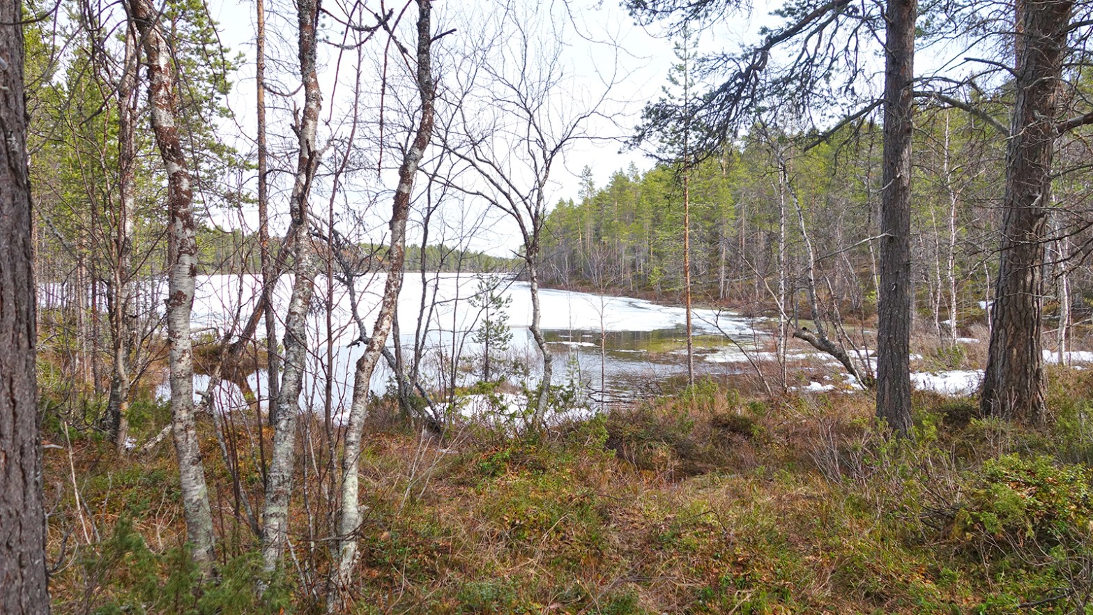 Ein See im Lemmenjoki Nationalpark. (Foto: vk)