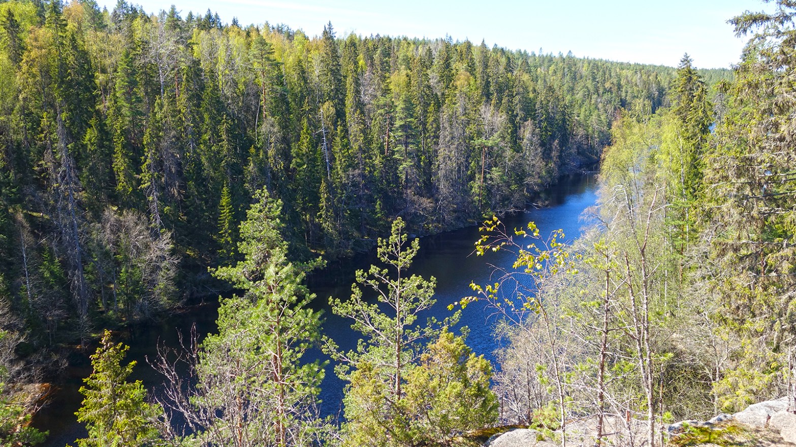 Die Aussicht im Helvetinjärvi Nationalpark: Ein beliebter Picknick-Platz für Finn*innen. (Foto: vk)
