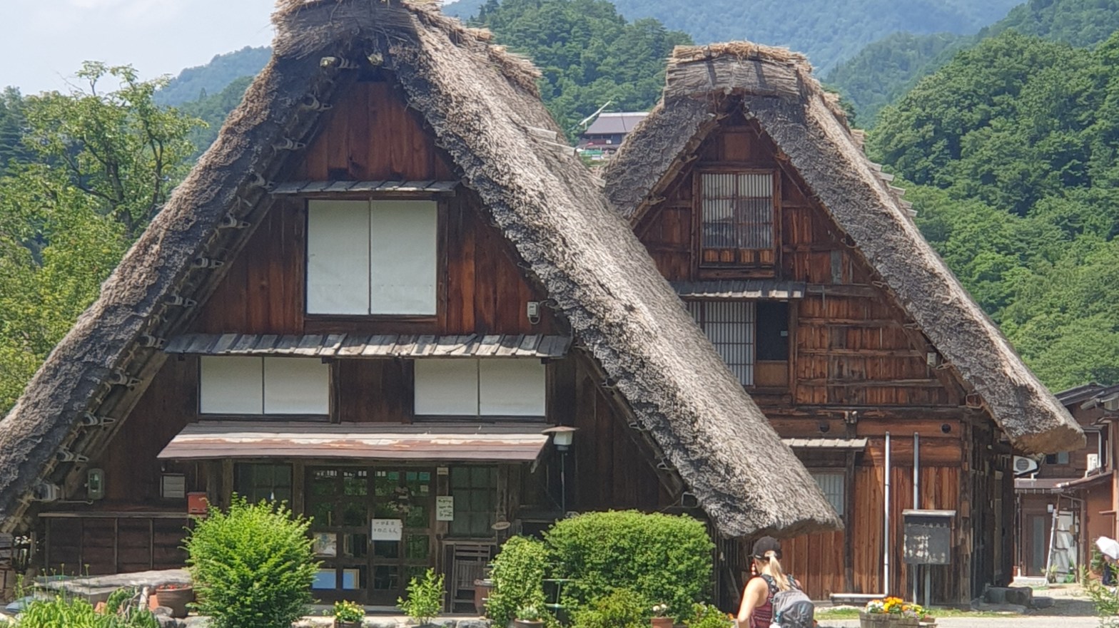 Die alten Strohdächer der Häuser im Gassho-Zukuri-Stil in Shirakawa.