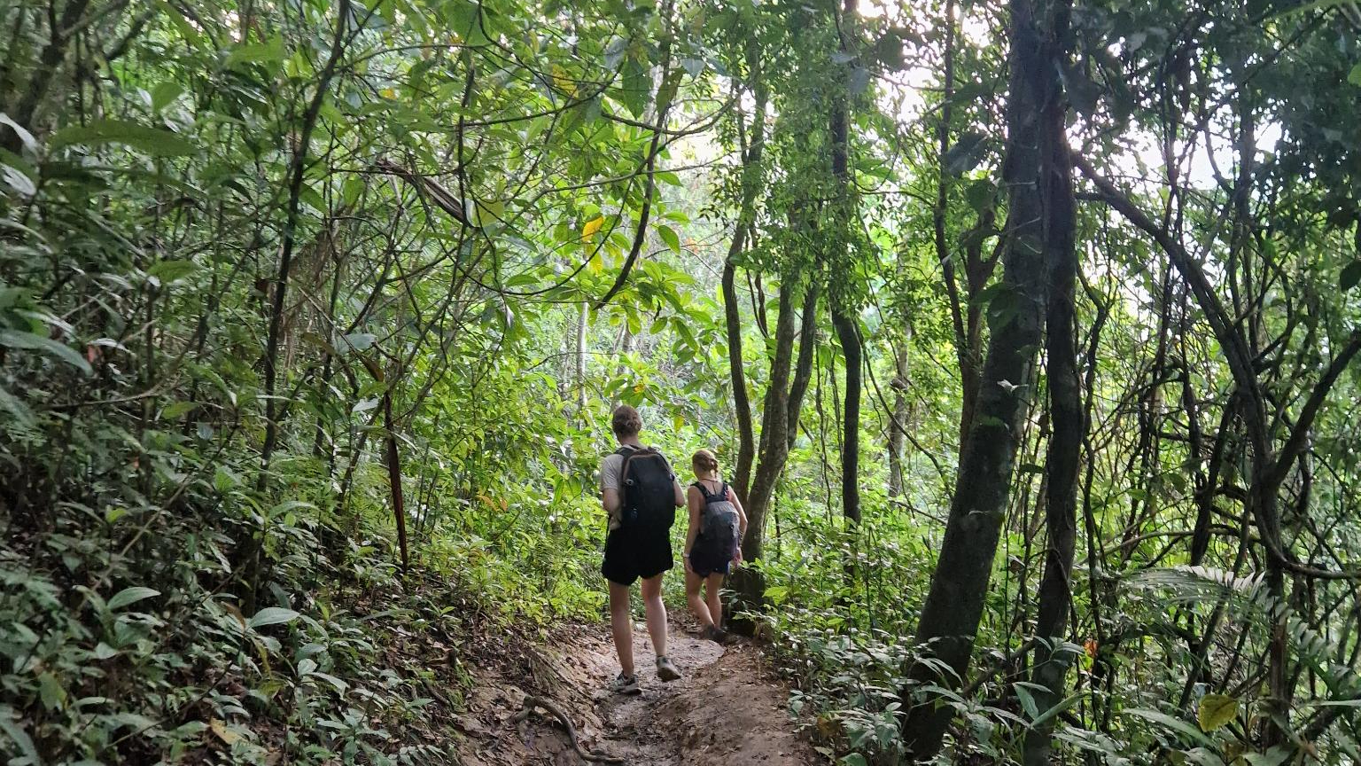 Auf unserer Wanderung durch den Wald zum Strand Lopes Mendes.